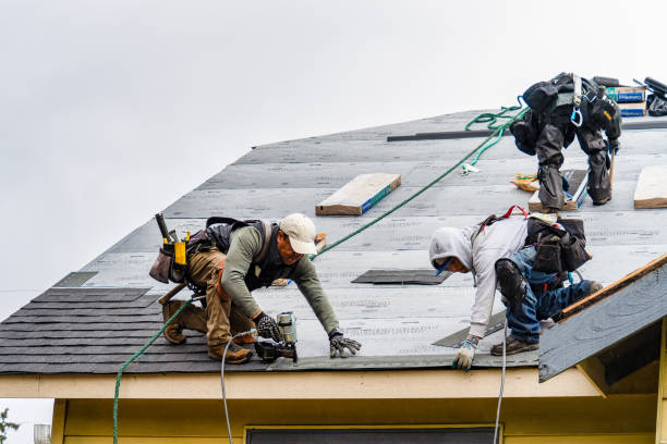 Professional Roofing technician working in Hopedale, IL